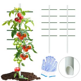 7ft*2ft 2PC  White Round Tube Climbing Trellis, Stylish, Simple, Durable, And Creates A Beautiful Space Filled With Greenery.
